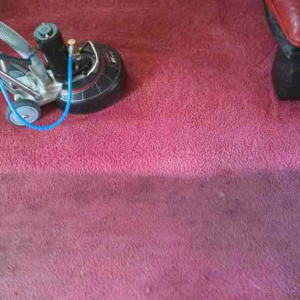 pet odor removal san ramon