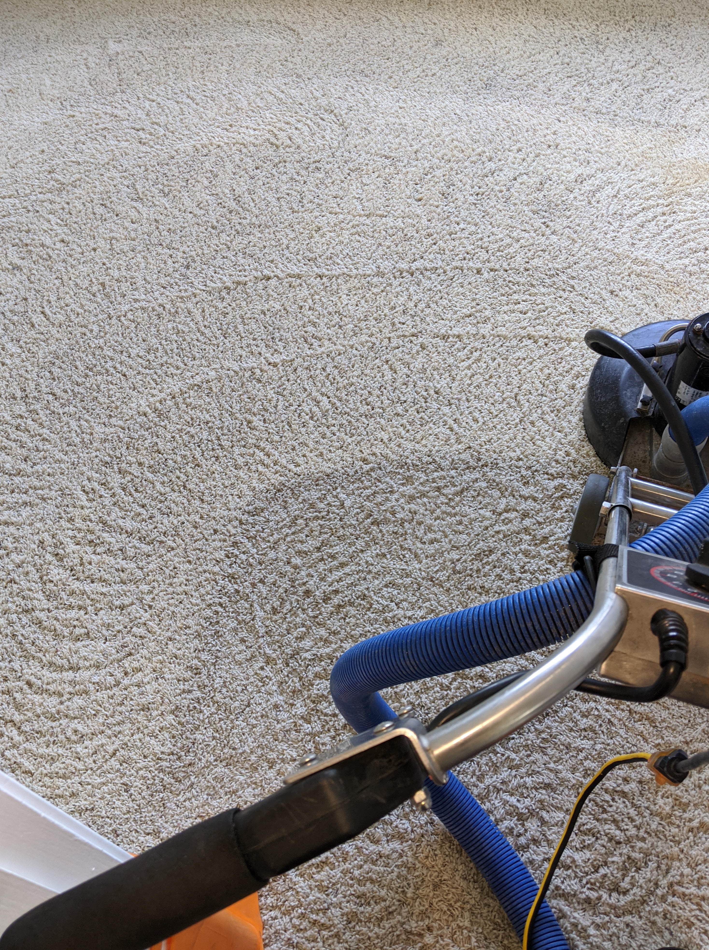 carpet and tile cleaning service san ramon