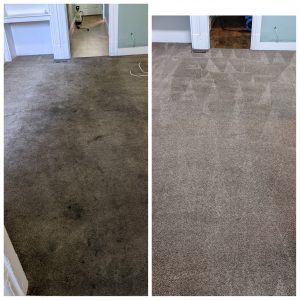 san ramon carpet cleaning service tile cleaning